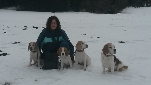 01.03.2015 Eisbachtalbeagle im Schnee