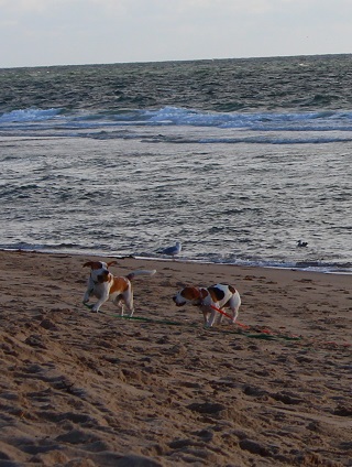 01.09.2016 Spielen am Strand