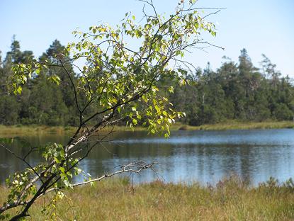 04.09.2013 Hochmoor 3