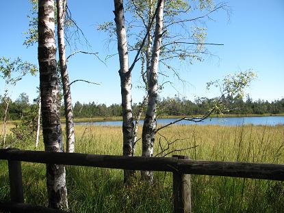 04.09.2013 Hochmoor 4