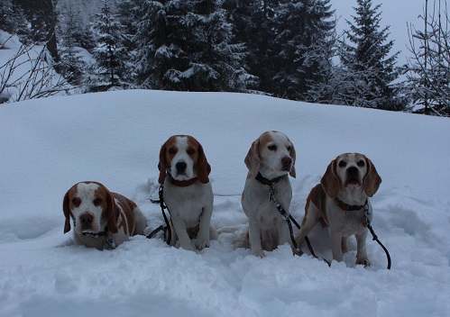 06.03.2018 Gruppenfoto am Morgen