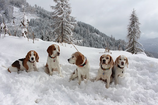 07.03.2016 Im Schnee