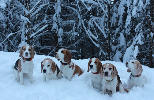 07.03.2016 alle im Schnee