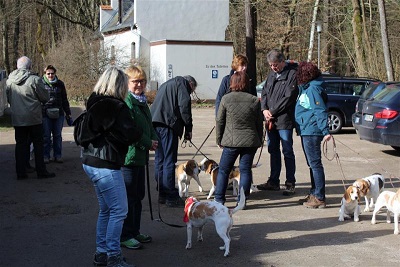 08.03.2015 Beaglespaziergang