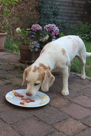 08.07.2017 Zuerst die Wurst