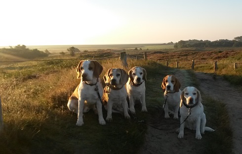 08.09.2016 Morgenspaziergang