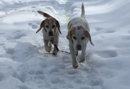 09.03.2018 Pearl und Aislinn