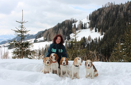 10.03.2016 im Schnee mit meinen Beagles