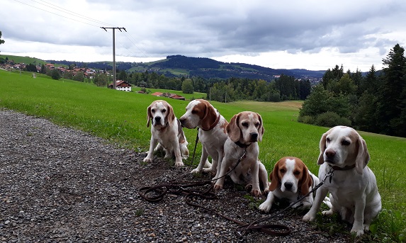 10.09.2017  Blick auf Steibis