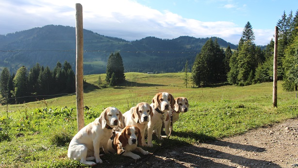 11.09.2017 Auf dem Berg