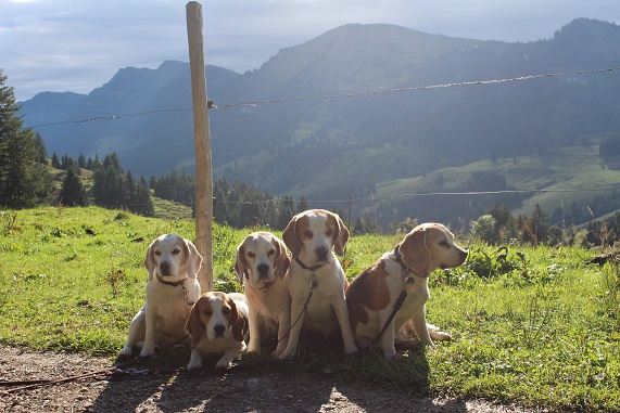 11.09.2017 Auf dem Berg 1