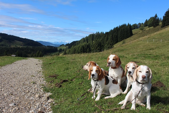 11.09.2017 Tolles Panorama