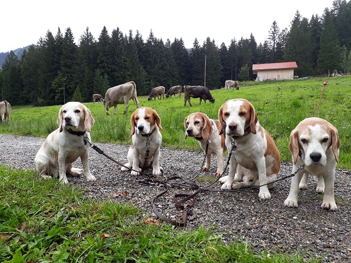 12.09.2017 Bei den Khen