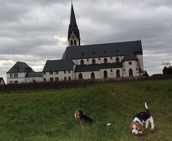 12.12.2014 vor dem Dom des Eisbachtals