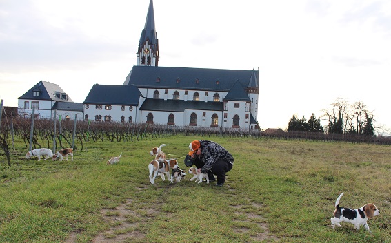 13.01.2018 Heilig Kreuz Kirche