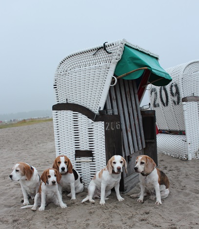 14.09.2015   an den Strandkrben