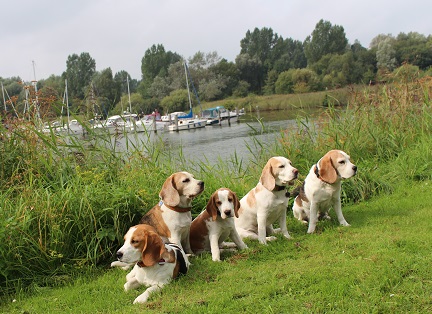 15.09.2015 an der Marina Hooksiel