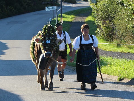 15.09.2017 Viehscheid1