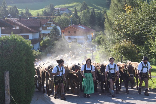 15.09.2017 Viehscheid 2