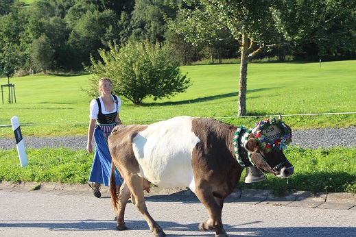 15.09.2017 Viehscheid 3