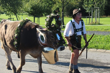 15.09.2017 Viehscheid 8