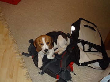 16.02.2015 Die Ruckscke sind gepackt