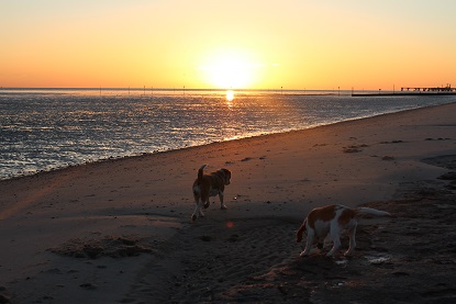 16.09.2015 Morgenspaziergang