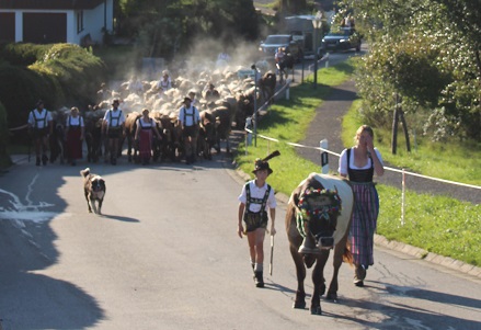 16.09.2017 Viehscheid 2