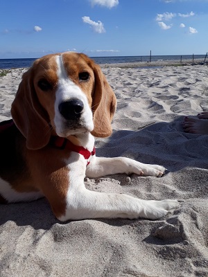 16.09.2018 Isabeau 1