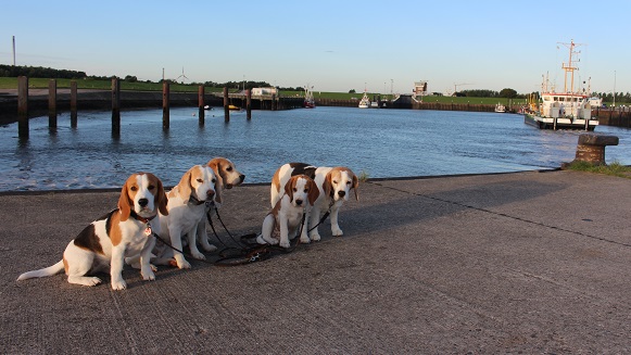 17.09.2015 Hafen