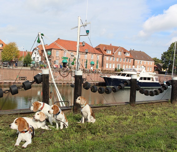 18.09.2015 Alter Hafen in Hooksiel