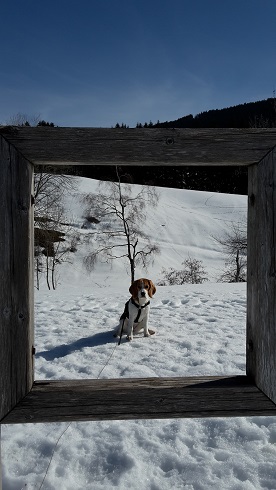 25.02.2019 Joleen im Schnee