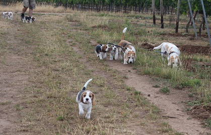 25.07.2015 Der erste Ausflug ins Feld