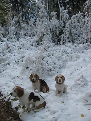 28.10.12 Schnee