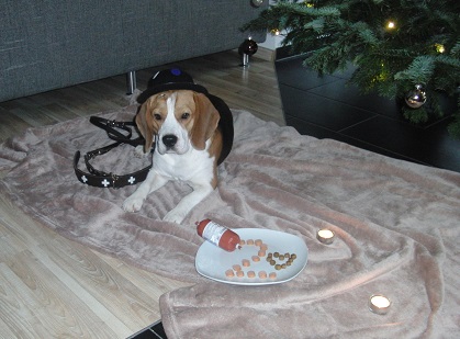 30.12.2015 Filou 2. Geburtstag