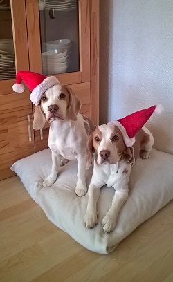 Dezember 2015 Hope und CariSun