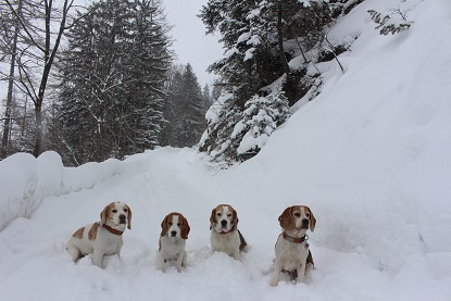 Mrz 2015 heute schneit es aber richtig fest