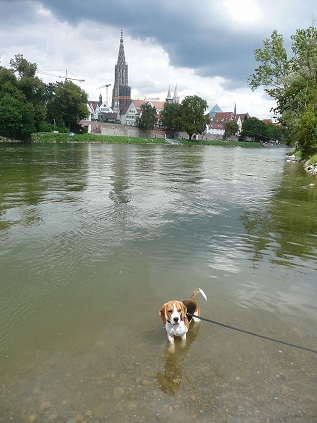 Ulm_Donau Dolce Vita Sommer 2014